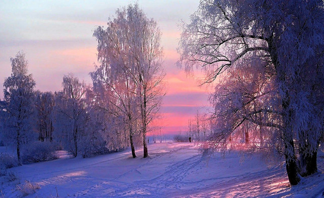 сиреневая зима 2.jpg