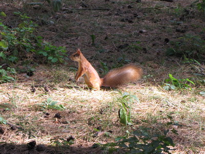 IMG_1433.jpg
