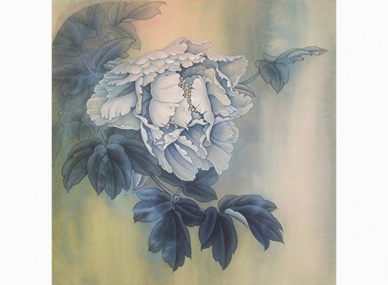 1580_foto_1_01.jpg