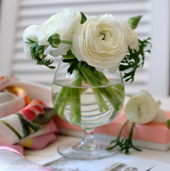DSCF8418.JPG
