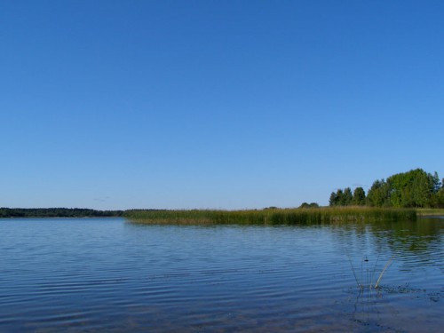 P9078836.JPG