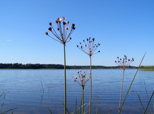 P9078840.JPG