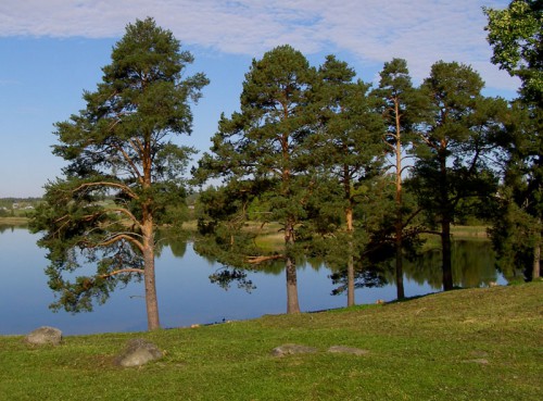 P9078505.JPG