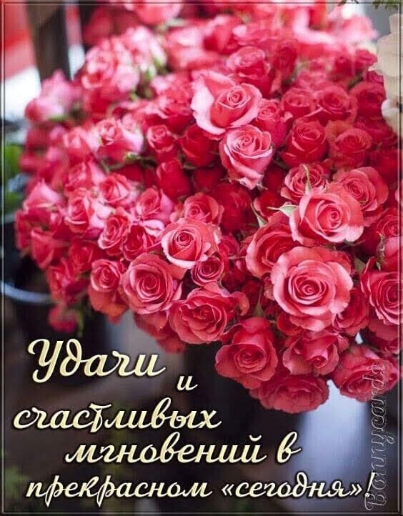 Удачи и счастливых мгновений в прекрасном сегодне!.jpg