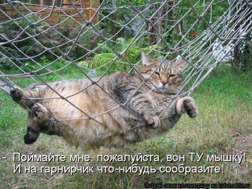975719.jpg
