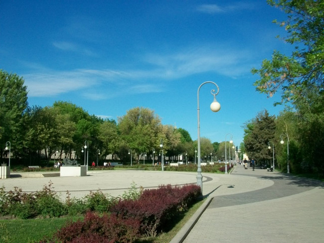 101_9154.JPG