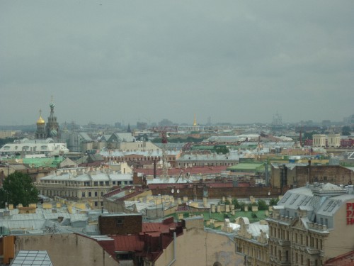 P1030811(1).JPG