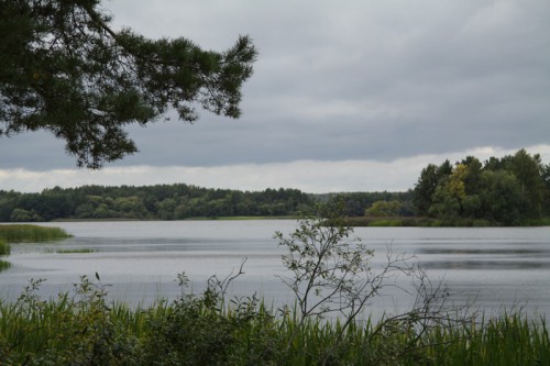 IMG_4112_1.jpg