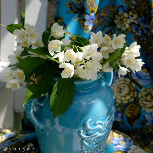 DSCF1114.JPG