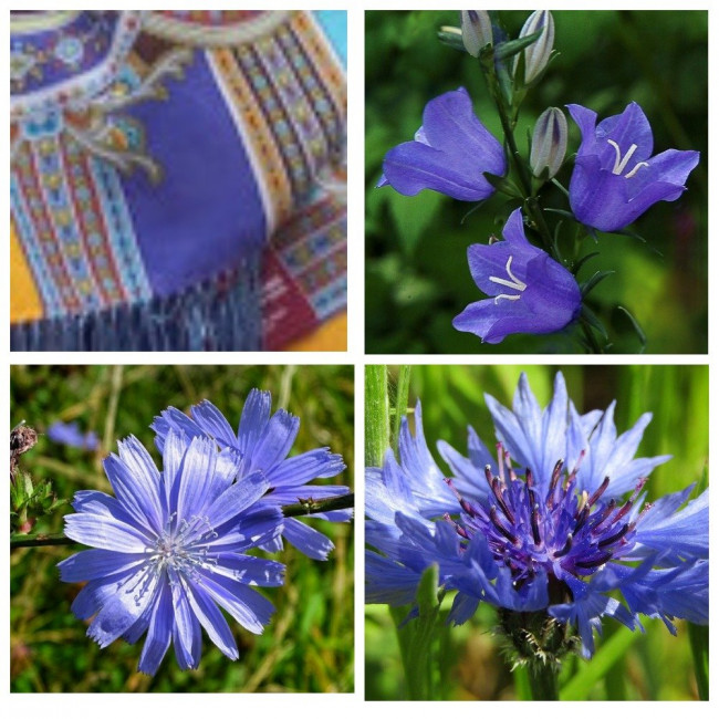 MyCollages — копия.jpg