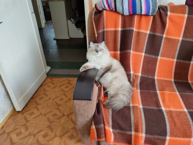 Корбин