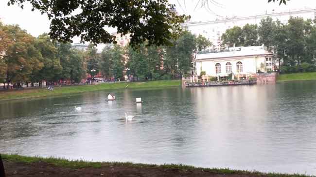 патр1.jpg