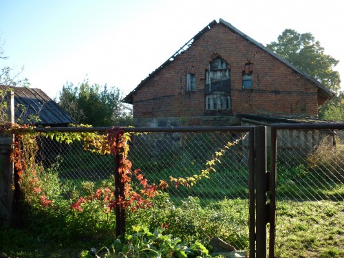 P1050284(1).JPG