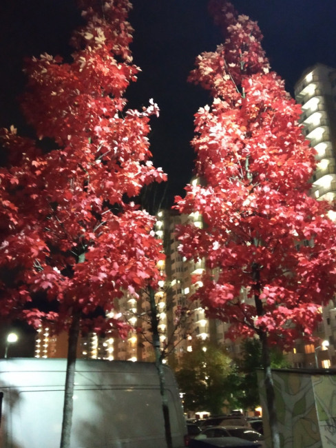 IMG_20211024_202344.jpg