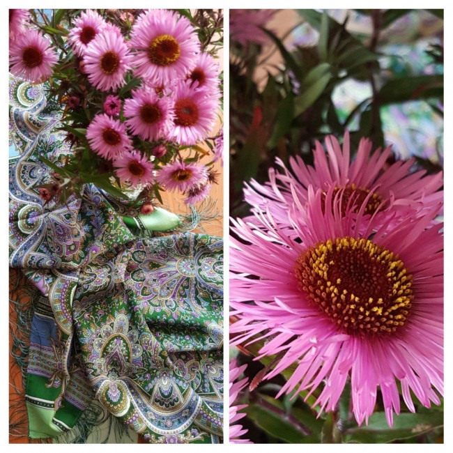 20211030_162352-COLLAGE.jpg