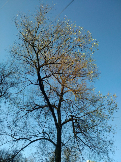 IMG_20211030_153911.jpg