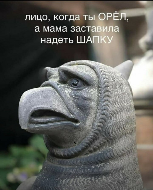 Screenshot_20211031-152654_Yandex.jpg