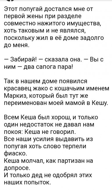 Screenshot_20220114-210601_Yandex.jpg