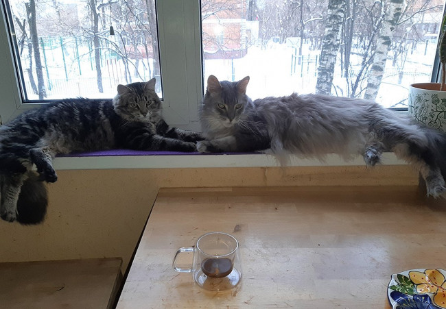 20220130_144505_1.jpg