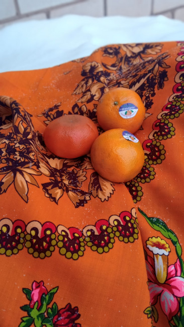 IMG_20220209_123058_resize_31.jpg