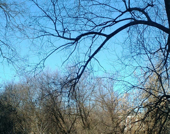 IMG_20220228_110156.jpg