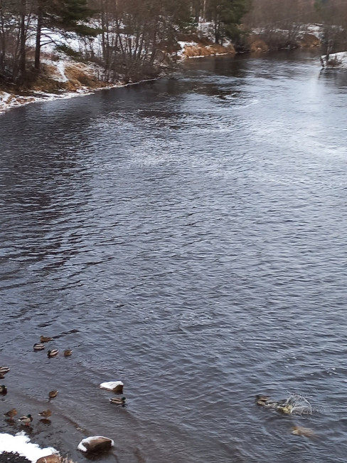 20220330_174009.jpg