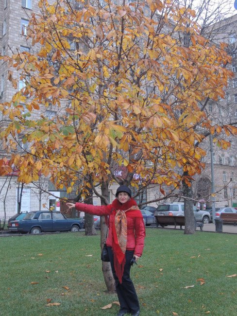 DSCN6465.JPG