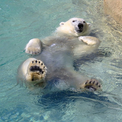 курорт и есть!