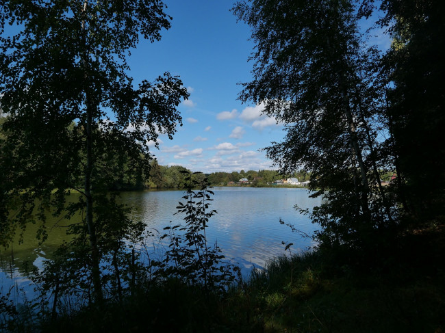 L1011558.JPG