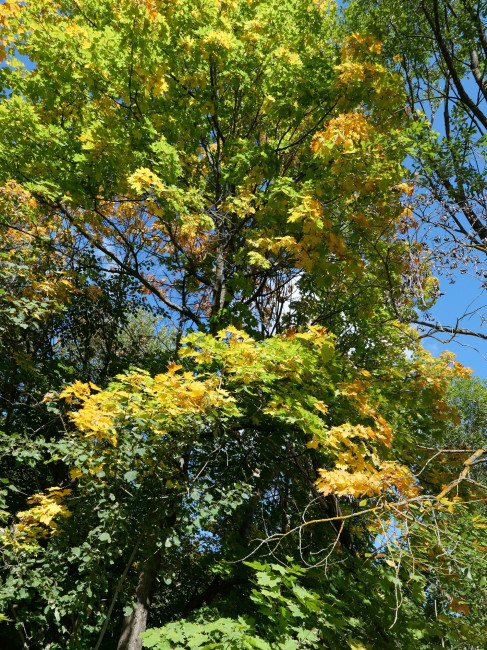 L1011578.JPG