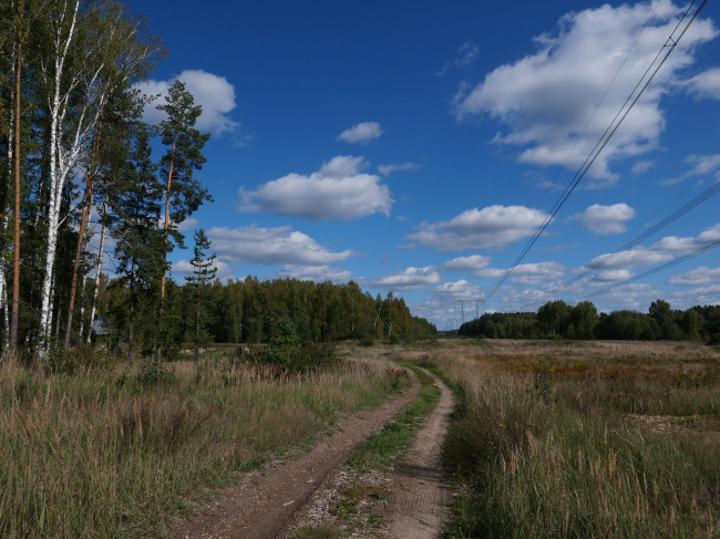 L1011596.JPG