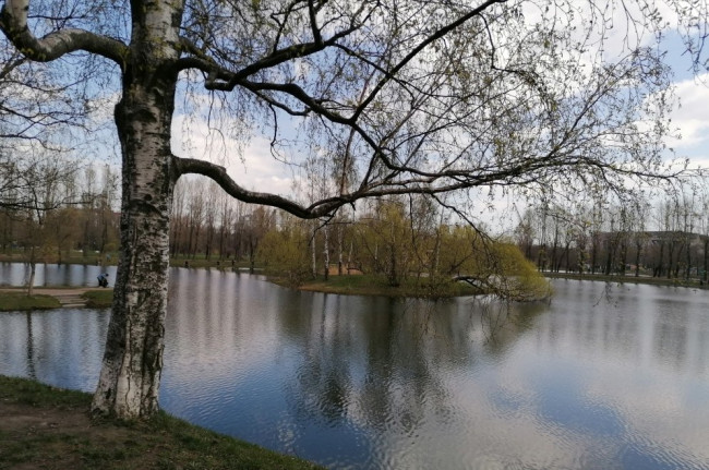 IMG_20220507_120929.jpg