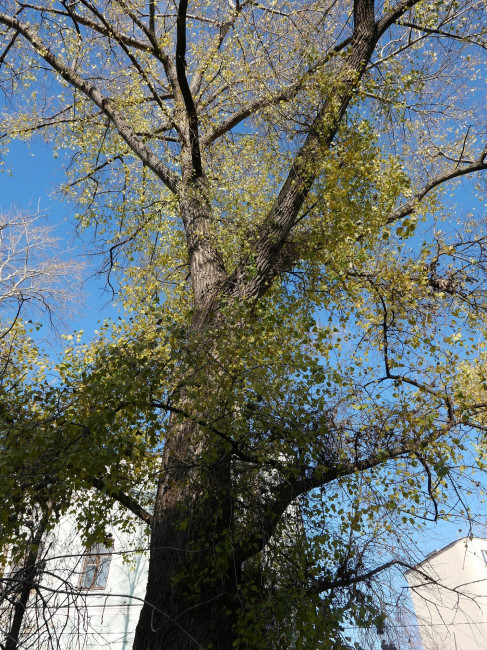 002 IMG_E0744.JPG