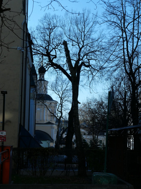 010 IMG_0753.JPG