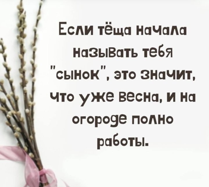 Screenshot_20220515-081723_Yandex.jpg