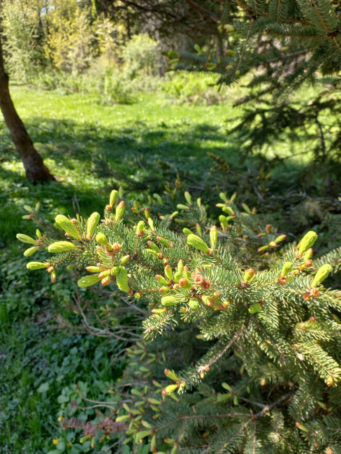 20220520_123246.jpg