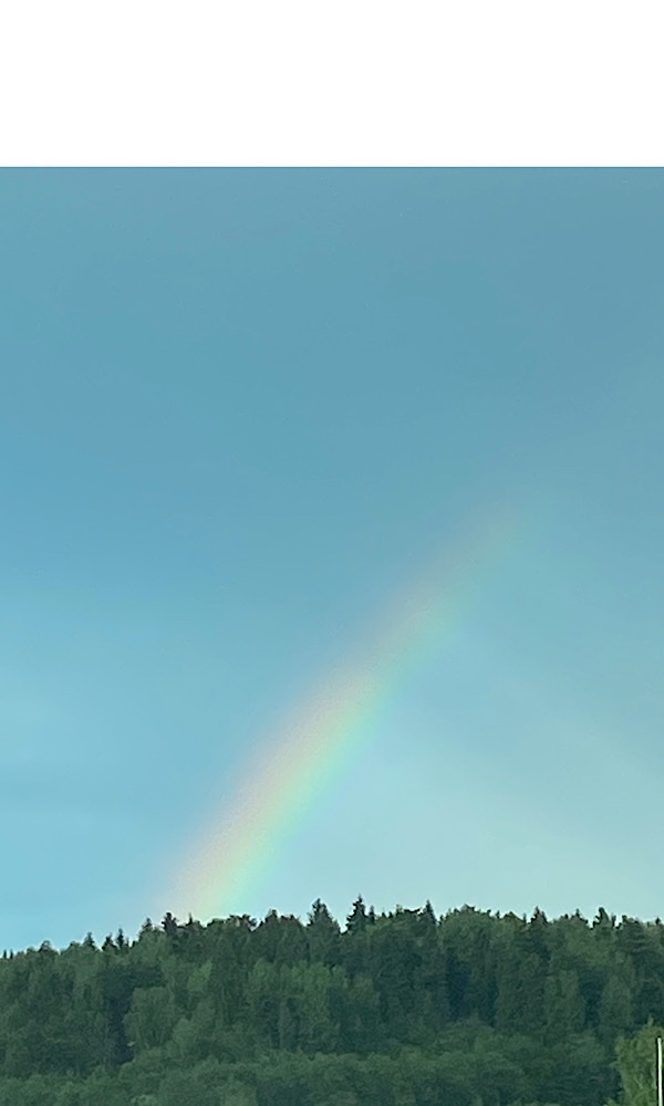 F4A61E73-3D89-4735-8E2B-734AA381D21A.jpeg