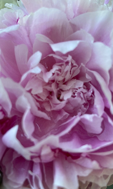 FA203BA8-E295-4D32-B9C5-5F063B884703.jpeg