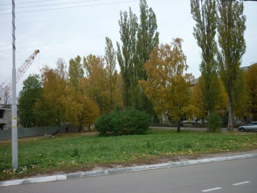 P1050704(1).JPG