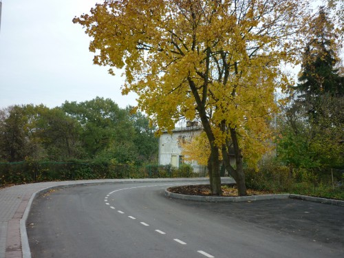 P1050694(1).JPG