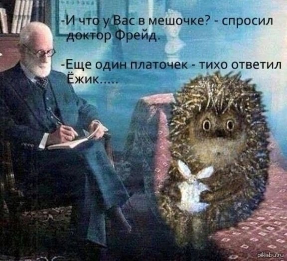 MFJpD8oruoo.jpg