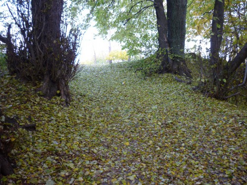 P1050833(2).JPG