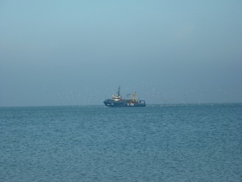 P1050837(1).JPG