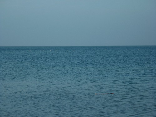 P1050847(1).JPG