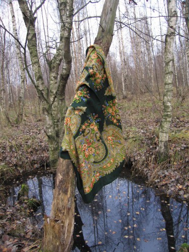У камина 1154-9, Клара Зиновьева - 2006 год