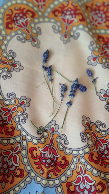 IMG_20220808_083829_resize_15.jpg