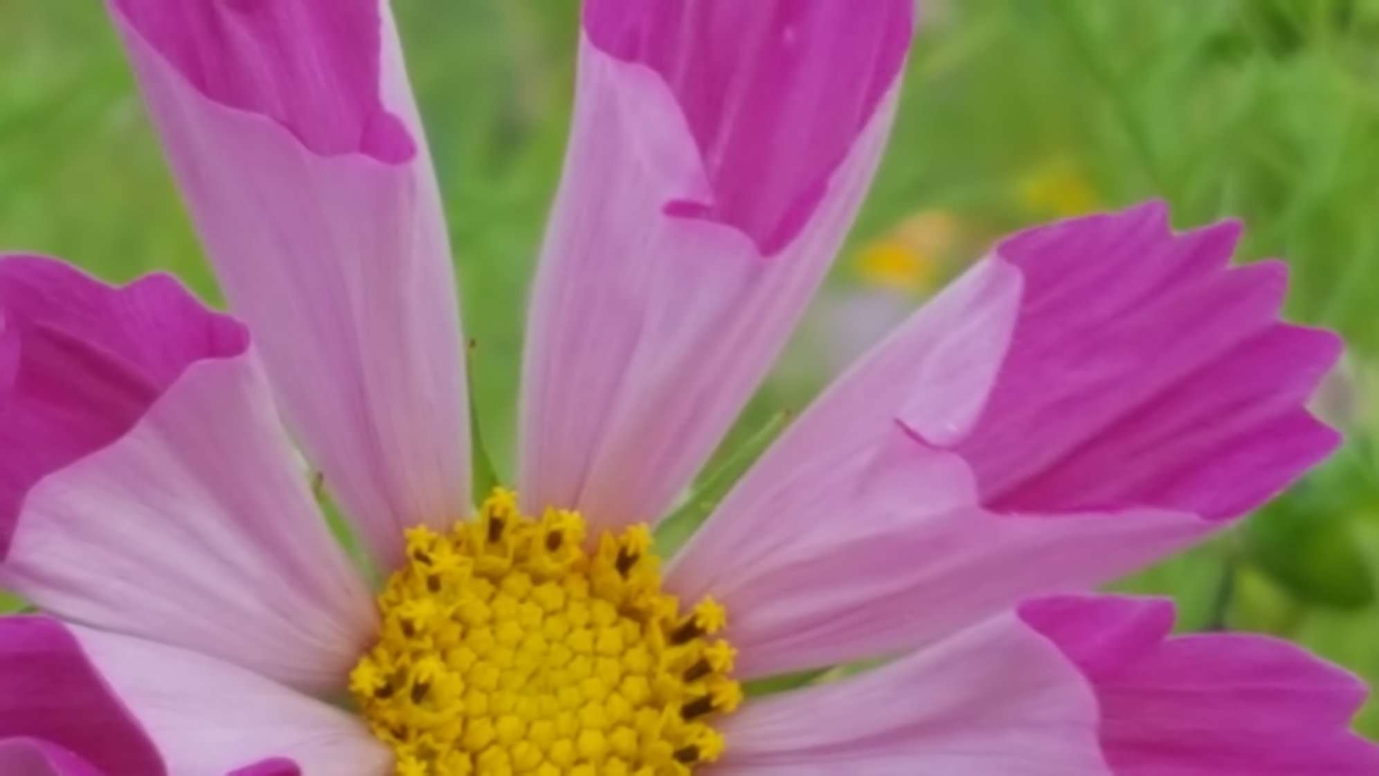 1661542801012.JPEG