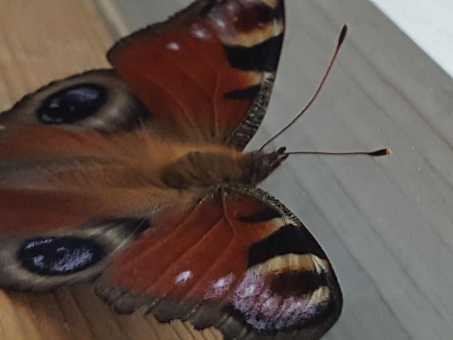 20220827_113618.jpg