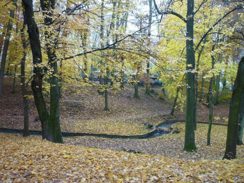 P1060029(1).JPG