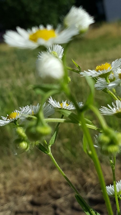 20220714_174432.jpg